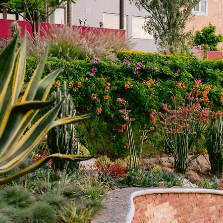 Terra Vista Aparthotel Гуанахуато Екстериор снимка